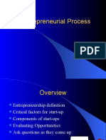 Entrepreneurial Process