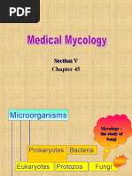 Ch45 Med Mycology 2017-2