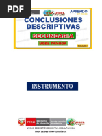 Conclusiones Descriptivas