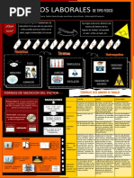 RIESGOS FISICOS Infografía PDF