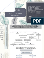 ACS, Acute Coronary Syndrome