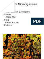 Types of Microorganisms