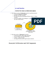 Cell Structure and Function