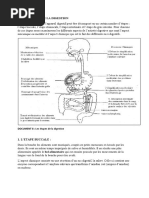 Étapes de La Digestion PDF