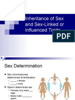 Inheritance of Sex and Sex-Linked or Influenced Traits - Student