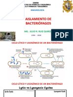 Aislamiento de Bacteriófagos 2020