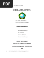 Laporan Praktikum Preferensi Pakan Epilachna Sp. Mawaddah Handayani Tbio2