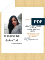 Trabajo Final Garantias