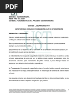 Guía #17 Cateterismo Vesical Intermitente y Permanente