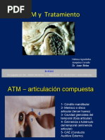 Articulaciontemporomandibularytratamiento 140423024456 Phpapp01 PDF