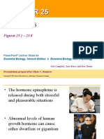 Anatomy - Endocrine System - Hormones