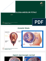 5.anexe Fetale Patologie