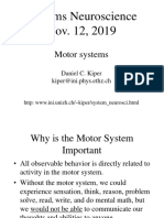 Systems Neuroscience Nov. 12, 2019