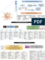 Respuesta Inmune Contra Infecciones Por Bacterias y Hongos Mecanismos Involucrados en La Resistencia A La Infección PDF