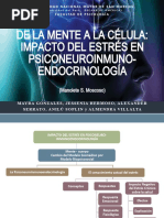 De La Mente A La Célula: Impacto Del Estrés en Psiconeuroinmuno-Endocrinología