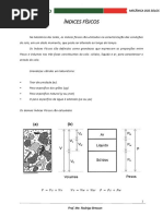 Aula 6 - Índices Físicos PDF