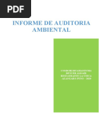 Informe Auditoria de Gestion Ambiental de Restaurante Pedrito