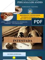 Sucesion Intestada y Rectificacion de Partida