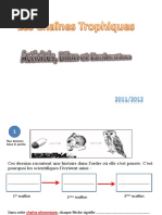 Chaines Trophiques PDF