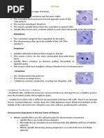 Prophase - The First Stage of Mitosis