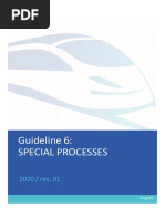 Irqb Guideline 6 Special Processes Rev01