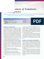 Management of Endodontic Emergencies: Chapter Outline