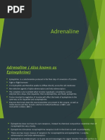 Adrenaline Presentation