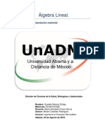 Actividad 2. Representación Matricial - Ejercicios Resueltos