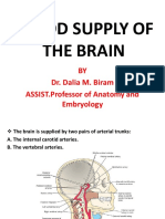 Blood Supply of The Brain - Modified