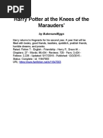 Harry Potter at The Knees of The