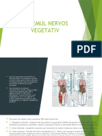 Sistemul Nervos Vegetativ