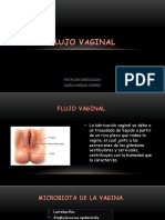 Flujo Vaginal