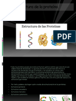 Estructura de La Proteína Actividad #2 Bioquimica