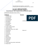 Labs 1 and 2: Muscular System Cat Dissection: Photo Atlas, Chapter 19 Human Muscles: Unit 7, Muscle Tissue and Muscular System