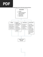 Pathophysiology of Chronic Obstructive Pulmonary Disease