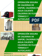 Calderas - Modulo - 01 TERORIA DEL VAPOR CURSO PARTICULAR