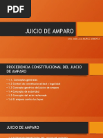 Juicio de Amparo