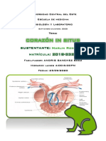 Práctica #2 Corazón in Situs, Marlin Rodríguez