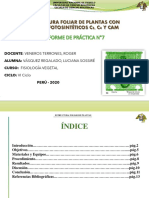 Informe N°7 - Fisiología Vegetal