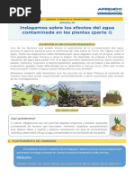 Actividad Semana 28 - 1° Sec PDF