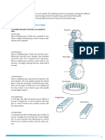 1.2 Types-of-Gear TechnicalData KGSTOCKGEARS