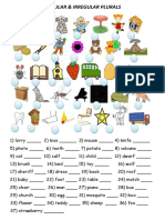 Regular and Irregular Plurals - 4059