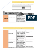 Informe Descritptivo Por Competencia