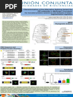 Characterization of The Alternative Splicing Variant The PIP Subfamily in Medicago Truncatula