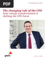 PWC Changing Role of The Cfo