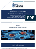 Aula 2 - Estruturas Do Corpo Humano