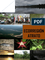 Ecorregion Atrato