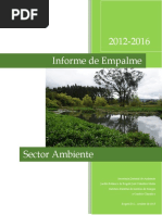 Informe Empalme SAMbiente