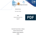 Fase 2 Manual de Eqipamiento en Sala de Radiologia Intervencionista - Colaborativo