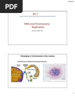 Lecture III-2 DNA and Chromosome Structures